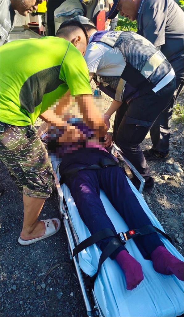 快新聞/驚!高雄桃源區虎頭蜂螫人「1女重傷」送加護病房 肇事蜂窩下午移除