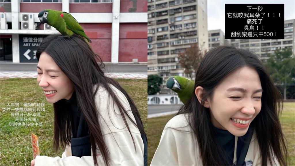 女星遇「鸚鵡停頭頂」以為是吉兆!秒買刮刮樂「劇情神反轉」結局曝光…
