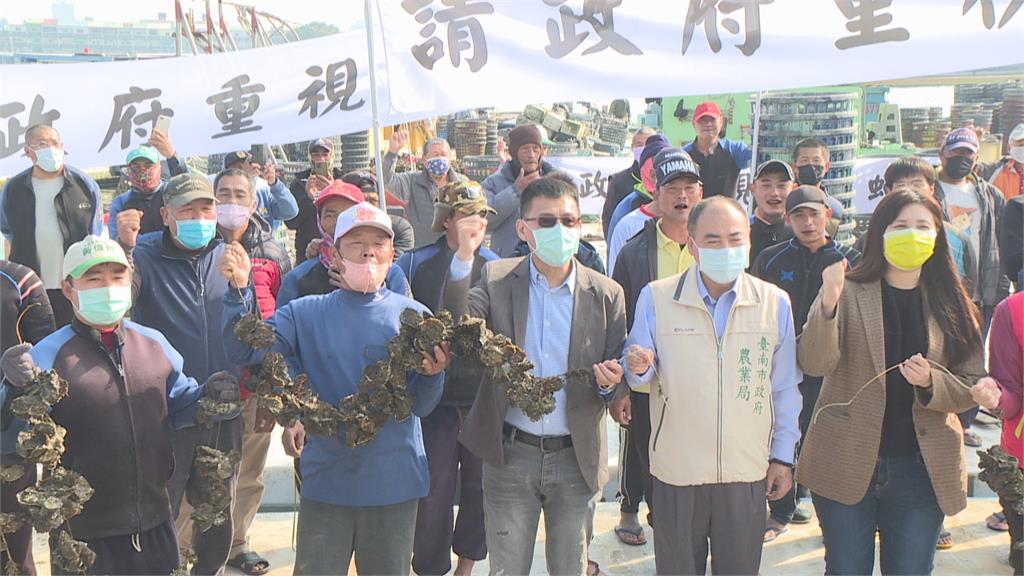 越南蚵進口衝擊本土市場　台南蚵農生計受影響