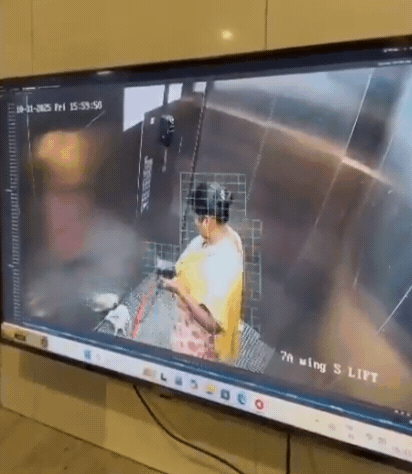 女傭電梯虐狗「活活摔死」!飼主心碎曝光「最後60秒監視器」畫面