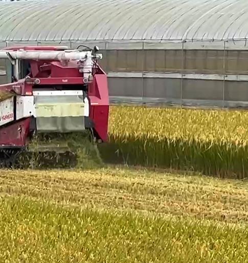 彰化15萬顆雞蛋芬普尼超標　排除案場污染！將朝「這方向」追查