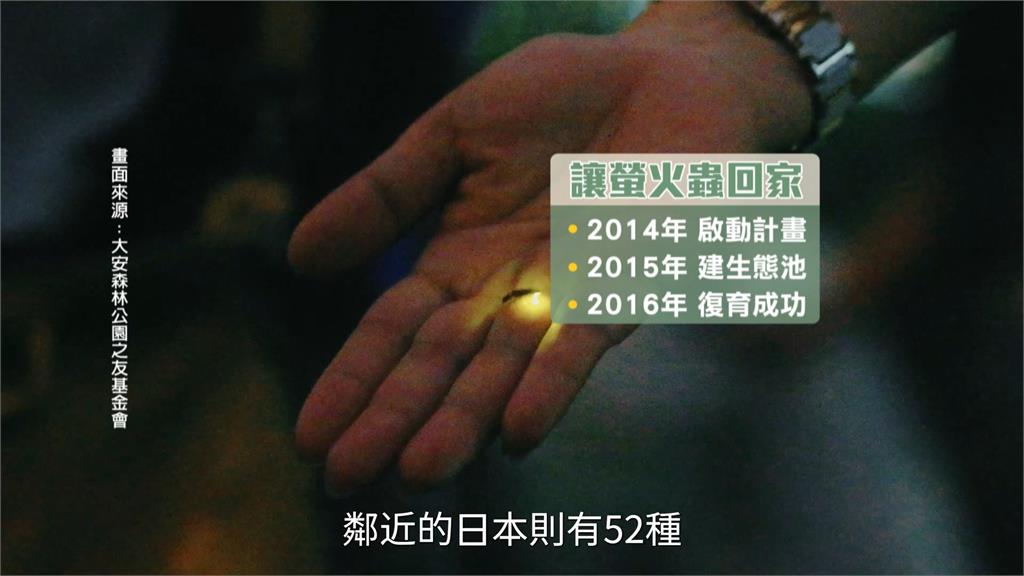 螢火蟲季親子音樂會大安森林公園登場 聲樂家簡文秀領唱守護火金姑