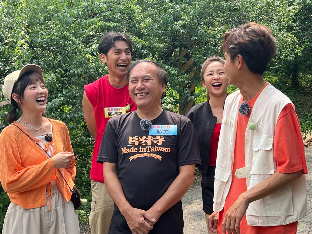 楊繡惠、賴慧如用竿子採收梅子一大籃只拿16元工錢!體驗梅農辛苦大嘆不容易