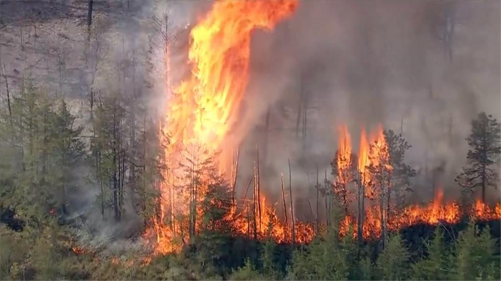美國紐澤西州爆發森林野火 疑19歲青少年縱火