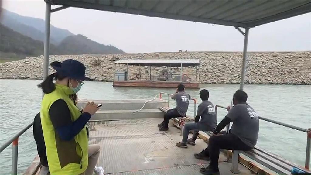 曾文水庫百頭野豬恐成瘟疫破口? 縣府:定期抽血皆為陰性