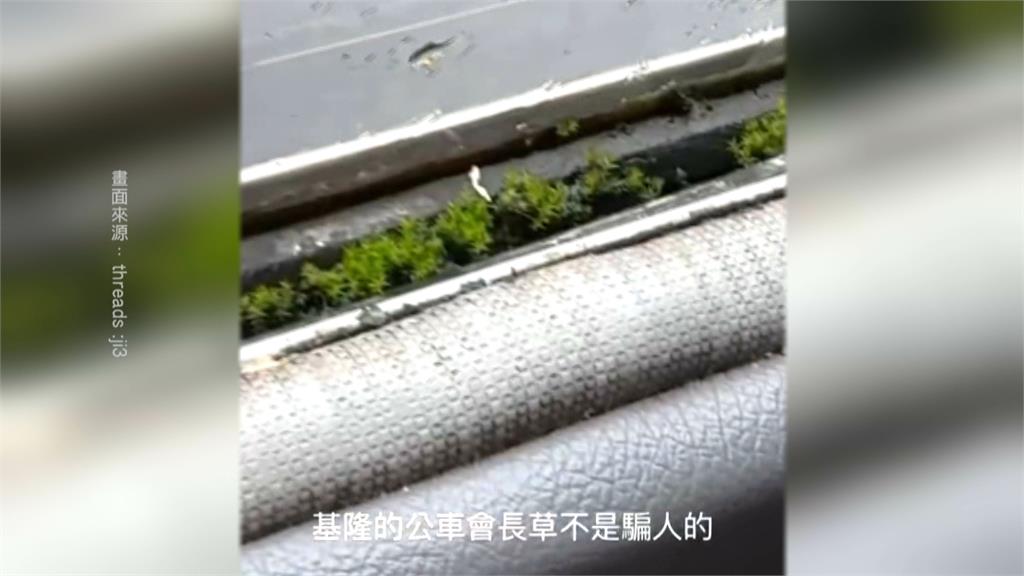 基隆都市傳說「公車會長草」 公車處證實是真的!諾加強清潔