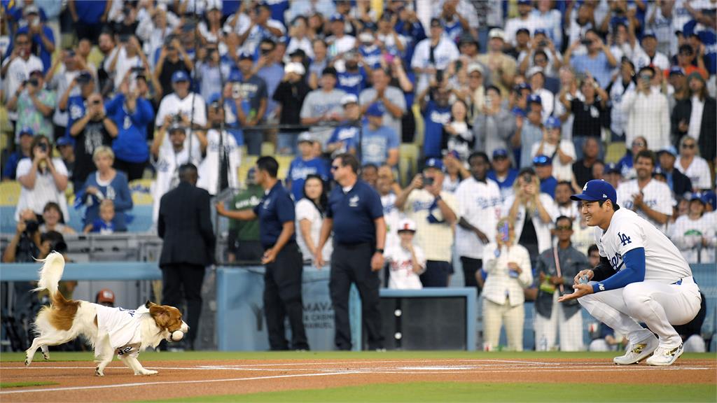 MLB（影）／愛犬Dekopin超萌開球　狗爸爸大谷喊緊張「練了三個禮拜...」