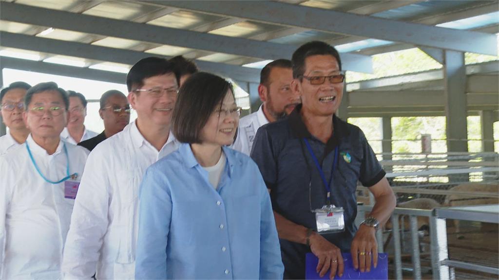 蔡總統參觀貝國種羊中心 玩心大起 出訪回程將會晤麥卡錫 蔡總統低調