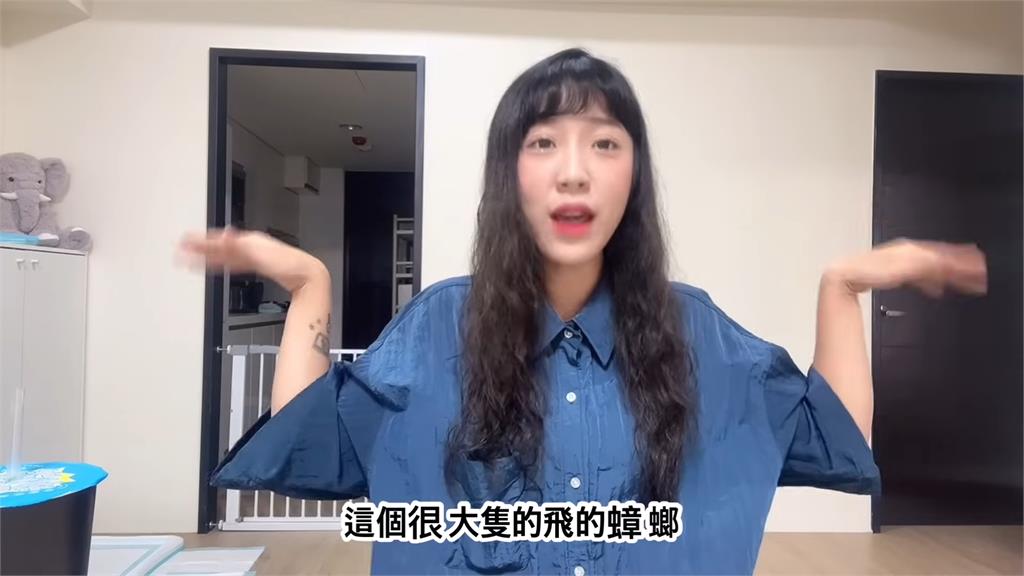台灣會飛的蟑螂超恐怖!南韓妻嚇爛坦言「無法習慣」 網笑:我也怕啊