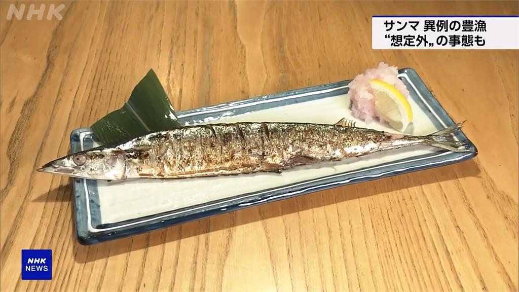 幸福煩惱！日本秋刀魚8月產量「暴增2倍」　冰塊、箱材大缺貨