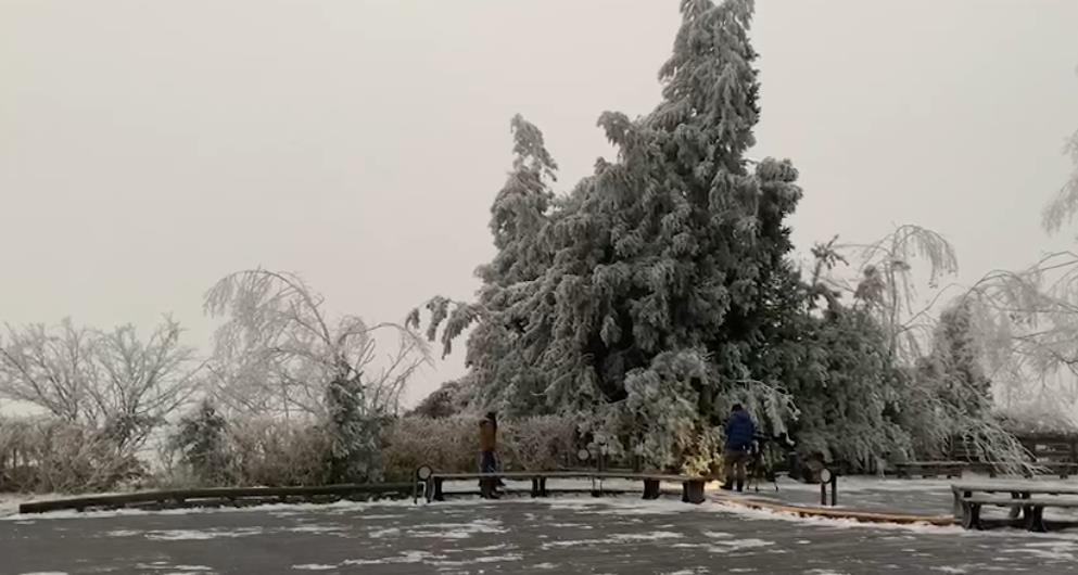 快新聞／太平山絕美霧凇雪景！　今開園「免裝雪鏈」也可上山