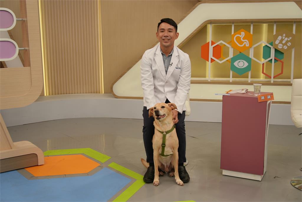 蔡允潔淚訴家中貓咪都出事！貓瘟花20萬救回根本被掏空