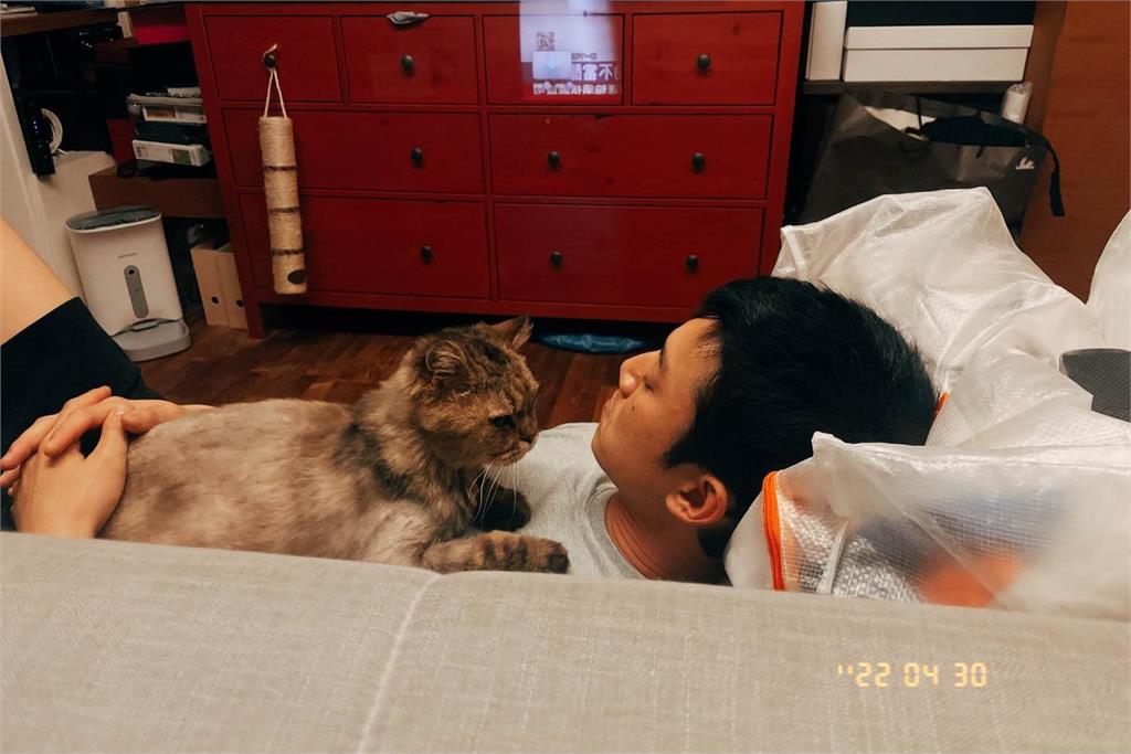 11歲愛貓離世！吳慷仁不在台灣「視訊痛哭告別」…邵雨薇幫處理後事