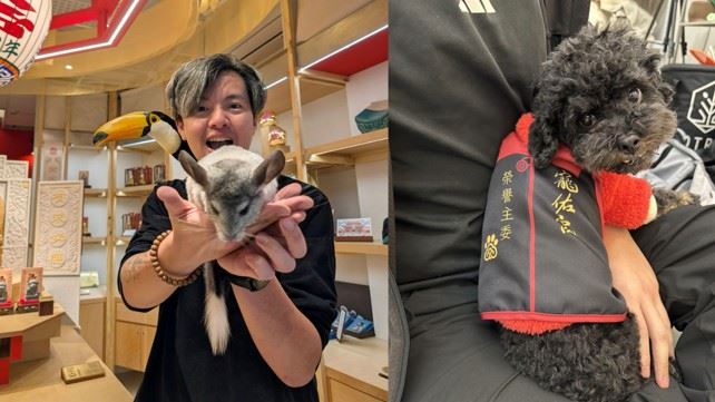 寵佑宮老闆是誰?從愛犬離世到保生大帝感應 他發願替毛孩蓋百年宮廟