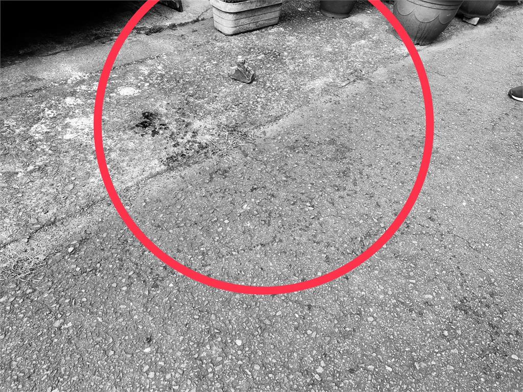 快新聞／台中恐怖情人砍女友！鄰居勸架慘遭殃　血跡斑斑驚悚畫面曝