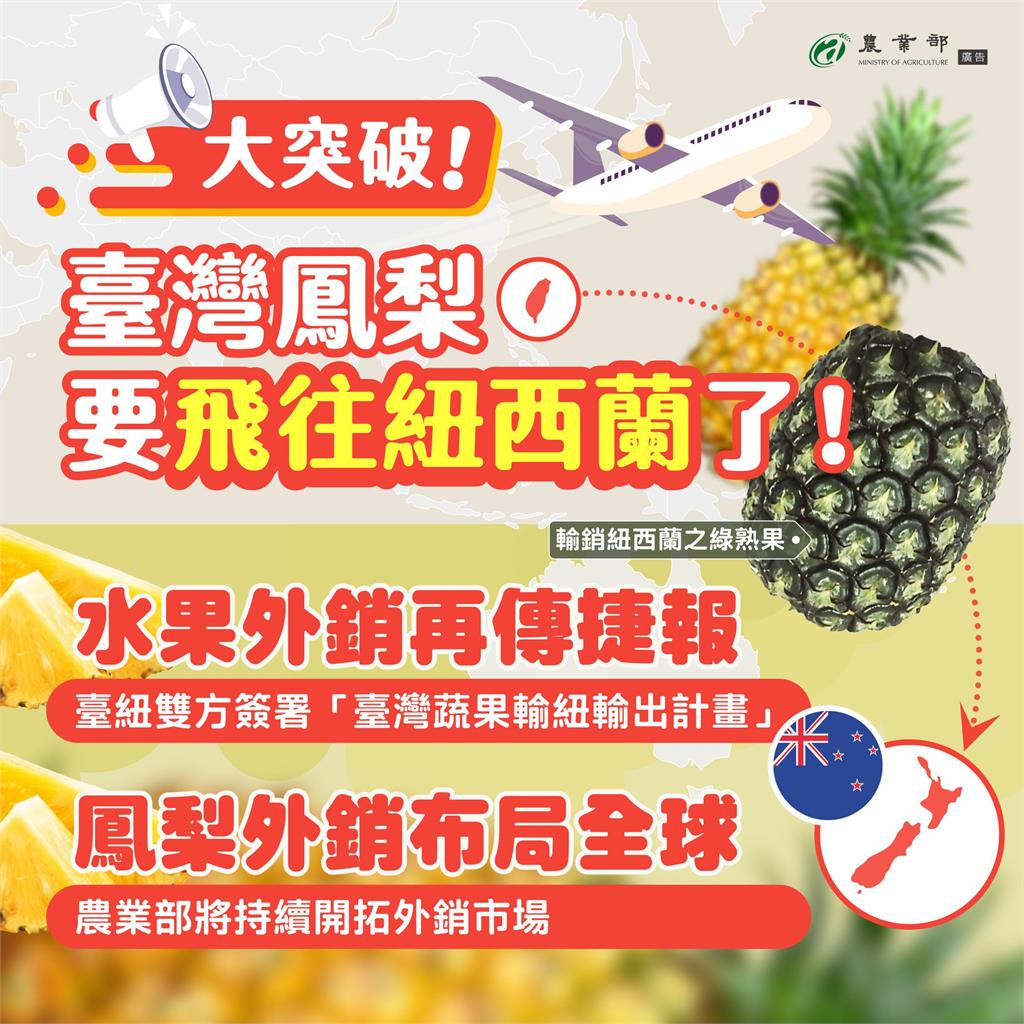 快新聞／台灣優質鳳梨「再下一城」！　紐西蘭即起開放我鳳梨進口銷售