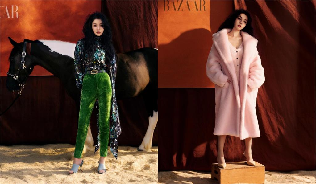 李毓芬陷買粉爭議神隱多年!突登越南雜誌「狂野近況」網看呆:以為徐若瑄