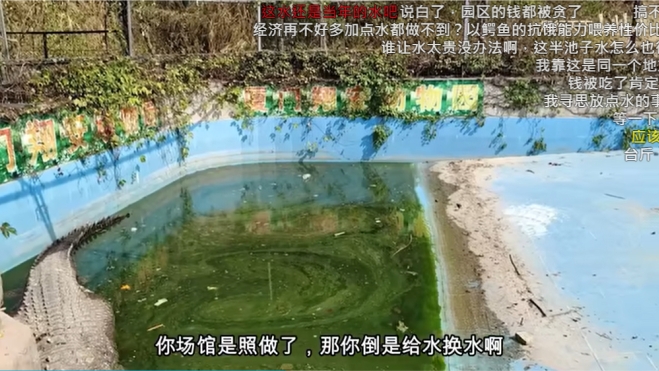 台灣鱷魚王「小河」送廈門快被養死　中國網友羞憤：還回去吧！