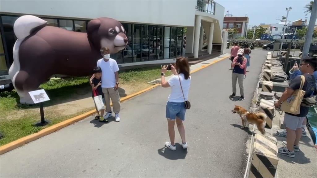 落山風太強！屏東看海美術館　14米高作品「擁抱貓咪」暫停展出