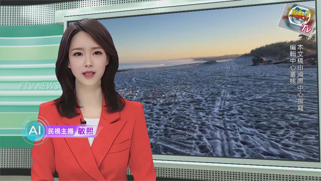 敏熙報氣象/極地寒流侵襲智利 -3度冷到海邊沙灘都結霜