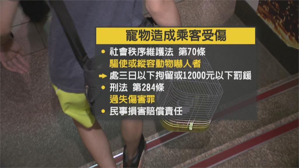 北捷首宗松鼠傷人案　寵物松鼠竄月台咬乘客