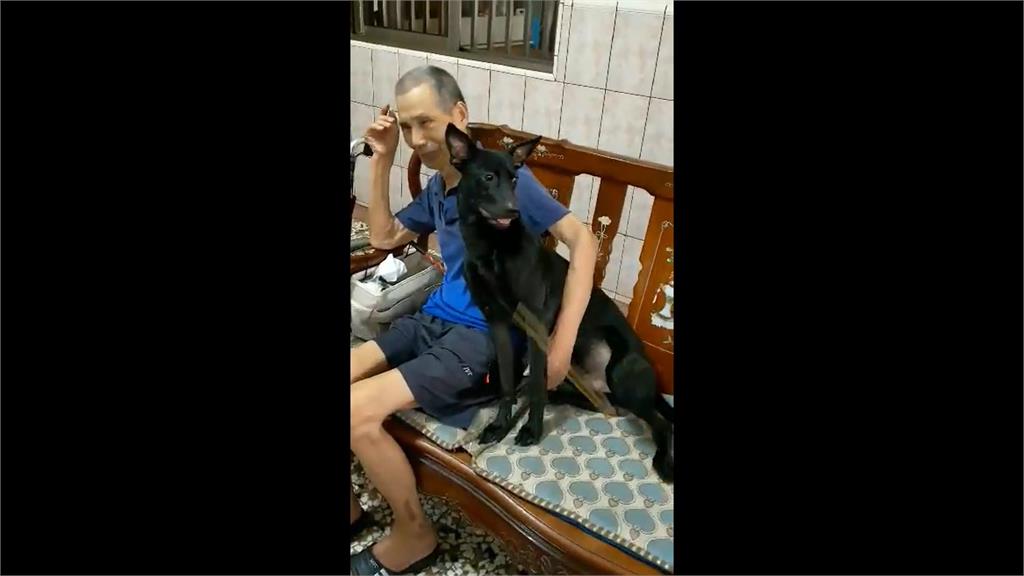 忠誠毛小孩!黑汪見媽作勢攻擊阿公立即肉身保護 網讚:疼的值得了