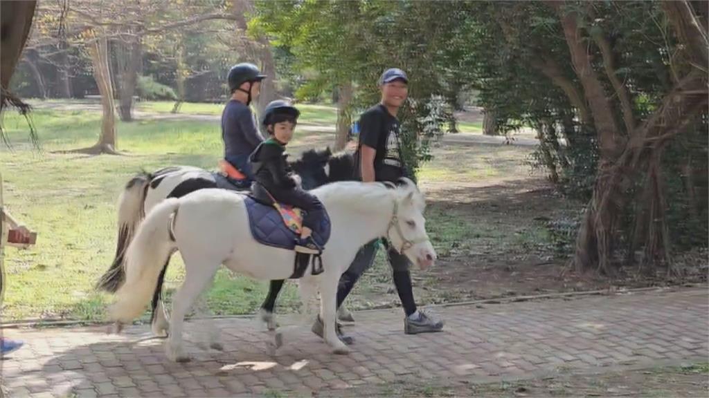 掀起漢服風潮!台南「馬上花朝節」 穿漢服騎馬體驗當古人