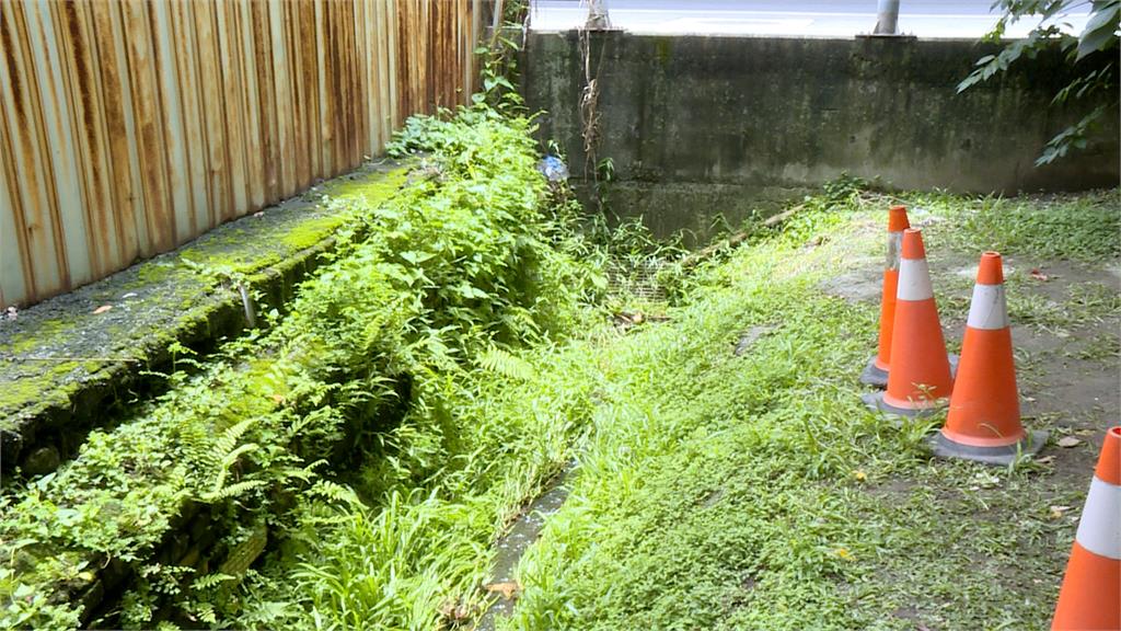 新莊驚傳「行李箱裝男屍」棄水溝!高大成分析「拋屍者身分」:恐是熟人