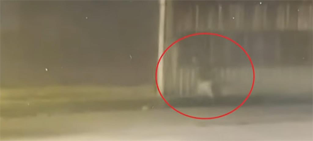 桃園87歲老父運屍「把兒拋溪中」！顧病兒50年「驚吐1句」曝棄屍原因