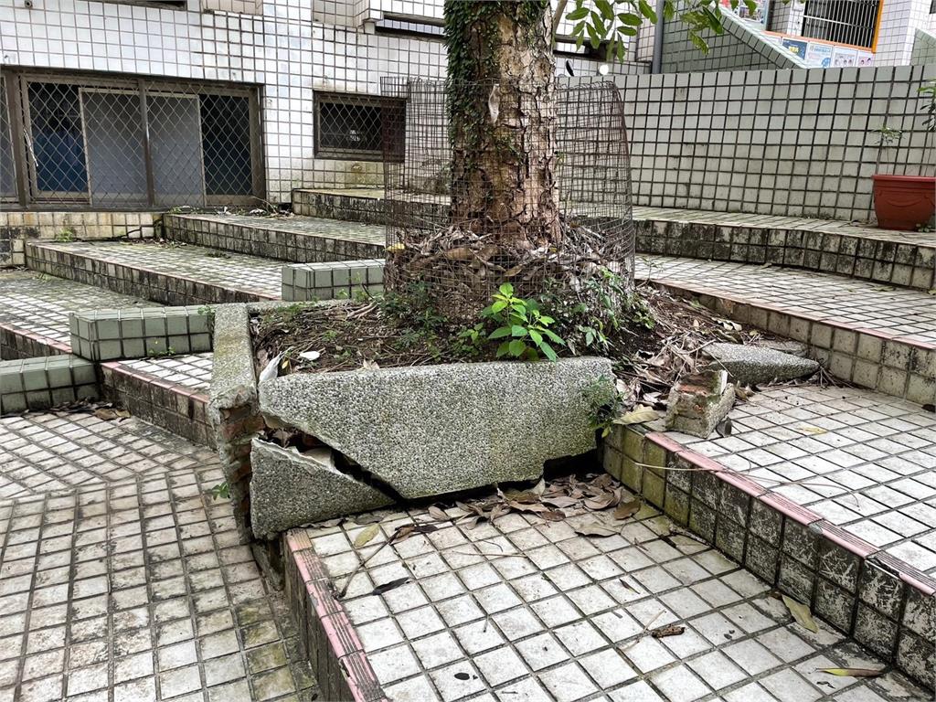 20年老校角落變魔法廣場!呂家愷推動「2校共享空地」 化身獵魔女團華麗登場