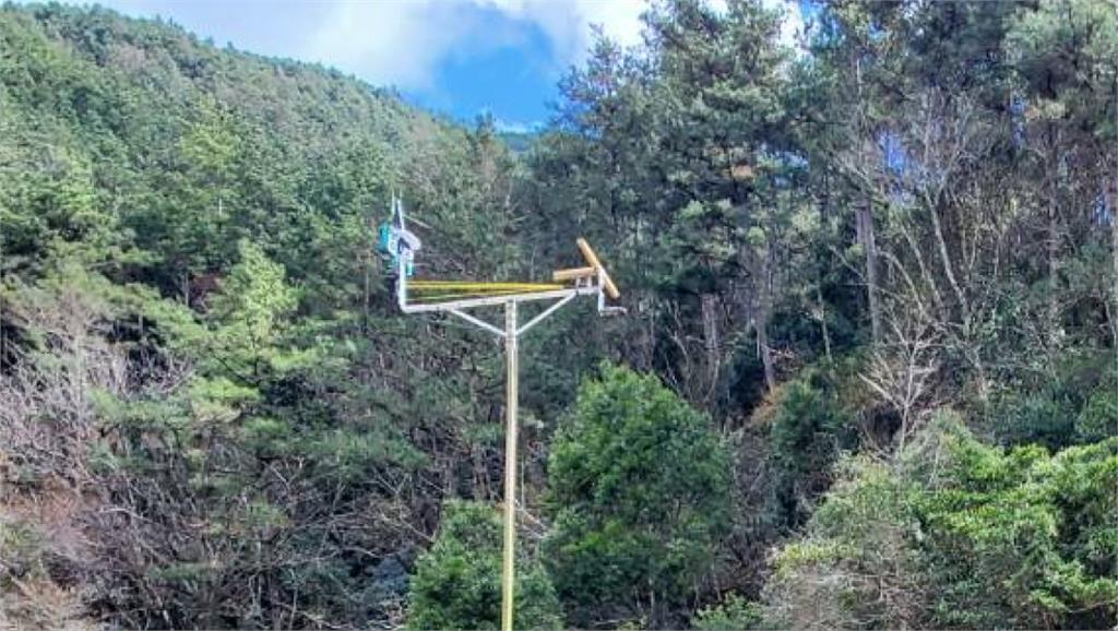 猛禽棲架+自動相機建功! 成功捕捉台灣最大貓頭鷹身影