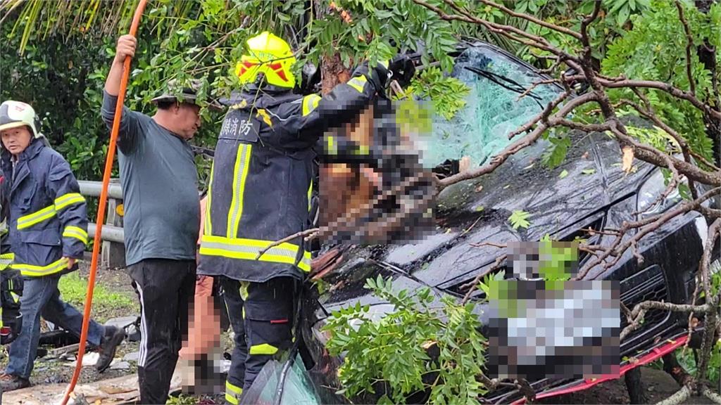 快新聞／花蓮台9線轎車打滑自撞路樹　車卡樹中嚴重變形「3人無生命跡象」