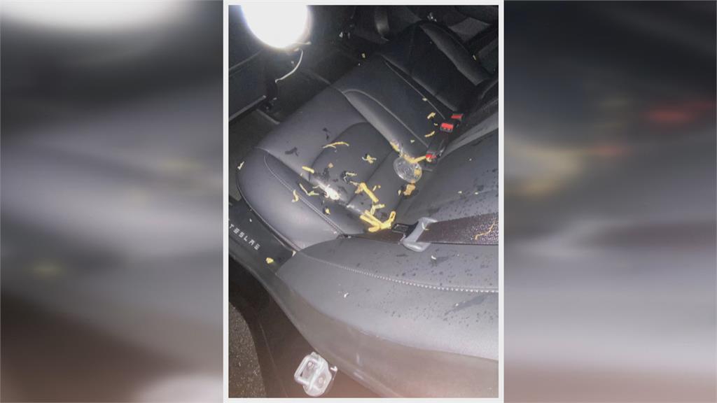 特斯拉車窗沒關竟遭廚餘砸中　「筍乾炸彈」車內全毀花５千元清潔