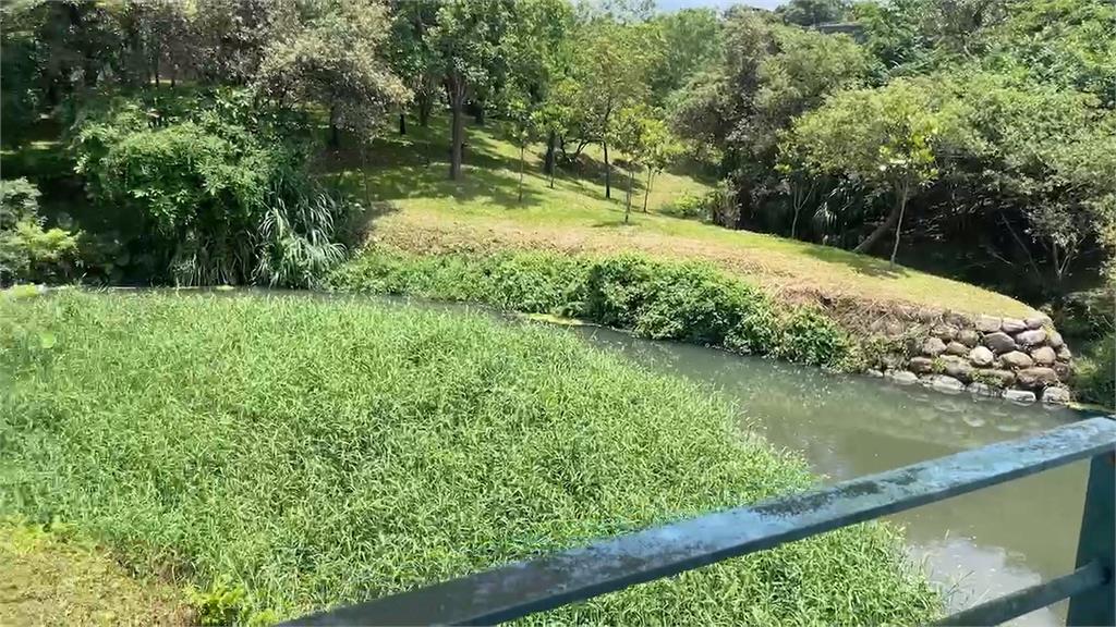 勸阻違規釣魚竟慘遭毆打　管理員眼眶骨折大塊瘀青