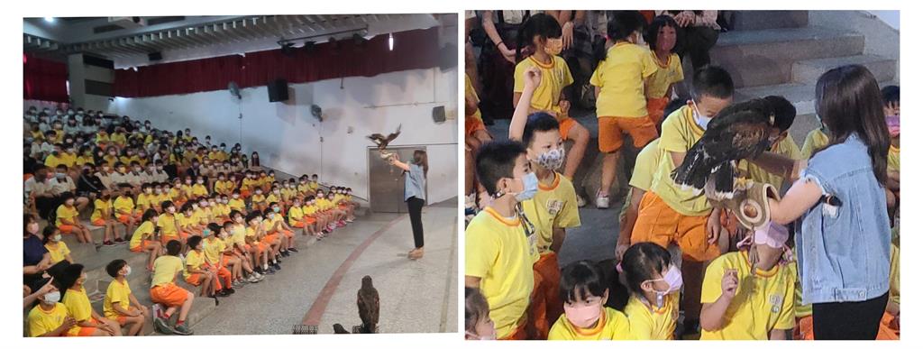 猛禽巡迴進校園 新北三重國小2百名學生樂歪