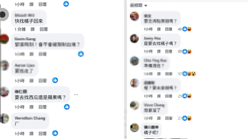 陳佩琪、柯傅堯現身機場「手扛1大箱」!她通電話表情曝光網驚:快找橘子回來
