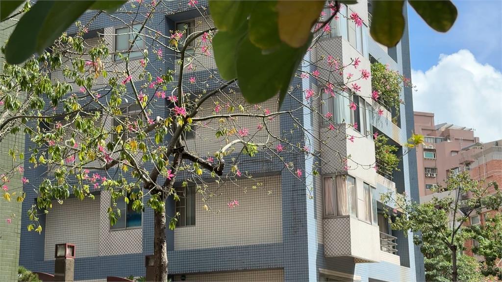 隋棠再被控惡鄰？　爆「欠11萬管理費」反擊：合法抵銷