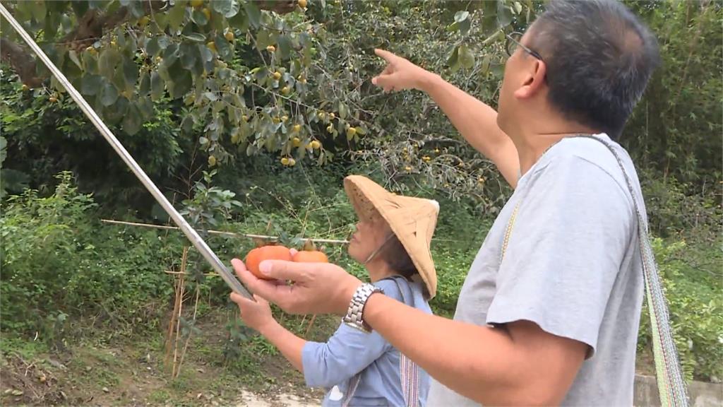 江慶鐘退休後遠離塵世喧囂　母子攜手打造專屬桃花源