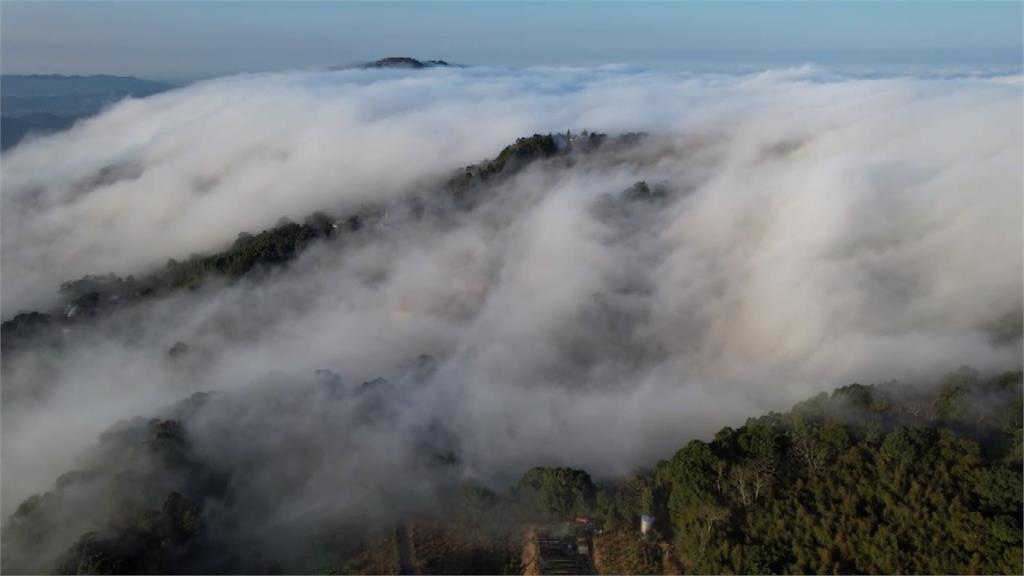 季節限定！　苗栗大湖薑麻園雲海　搭配創意料理吸引民眾