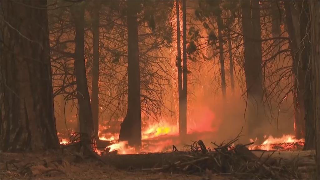 美國加州卡爾多山火14天不滅　野火蔓延太浩湖地區數千人連夜逃命