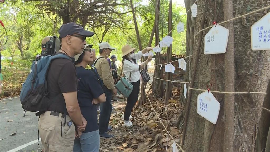 發動千人健走守護橋頭糖廠綠地 環保團體喊話政府:搶救森林