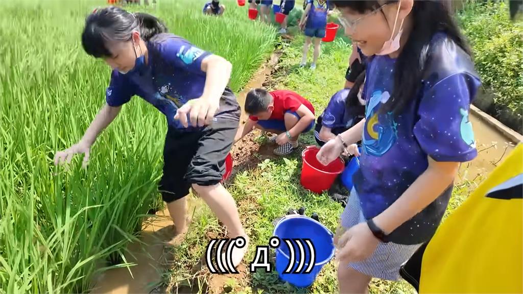 混血美女亂入小學校外活動!見最新歌單「一首都不熟」 笑喊:老到發臭