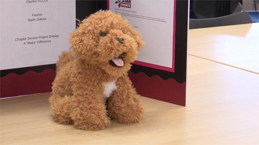 拚治療犬全天候發揮作用 美國北達州學生製作「分身」