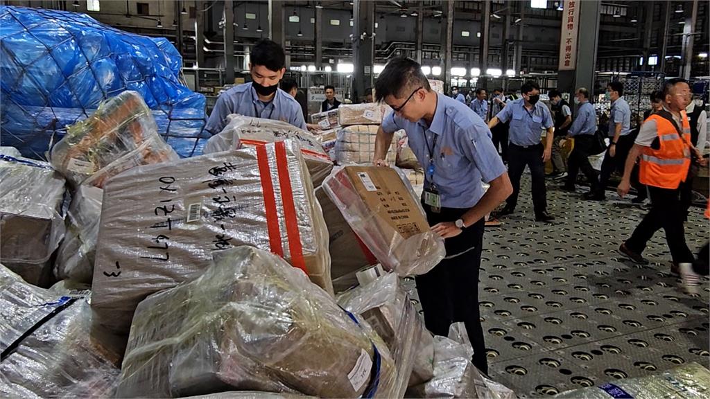 非洲豬瘟基因定序出爐！　與「中國、越南」相似度逾99%