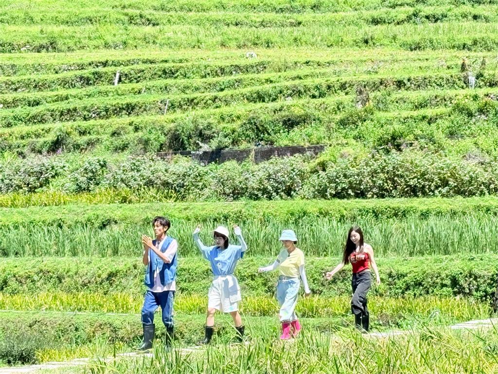 《綜藝新時代》楊繡惠自爆當年歌星證考不過！拜「十八王公廟」才過關