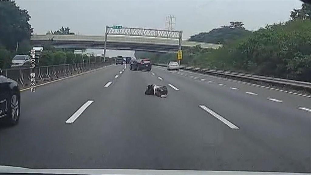 驚! 國道"離奇掉出1人" 跳車男疑債務問題不想害到女友