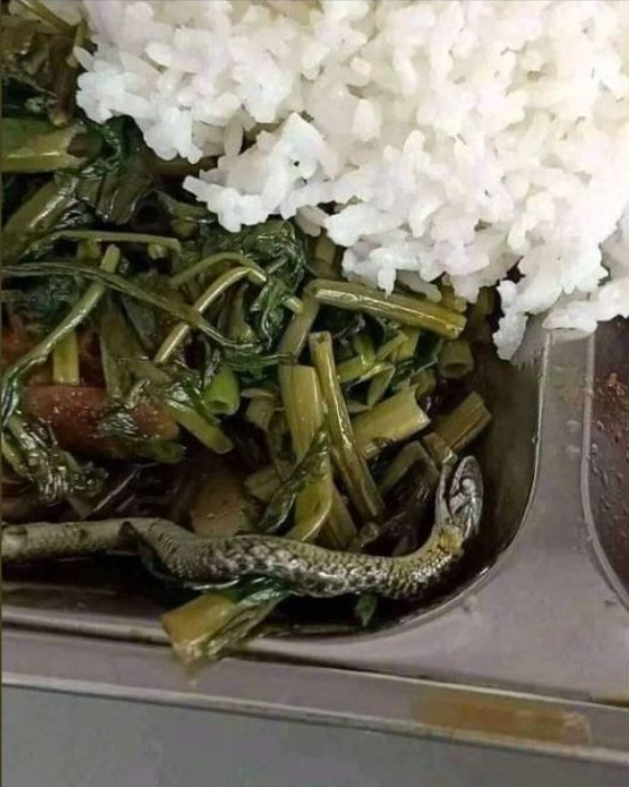 超噁心!自助餐炒空心菜驚見「這1隻」網友全嚇傻:老闆是不是瞎了?