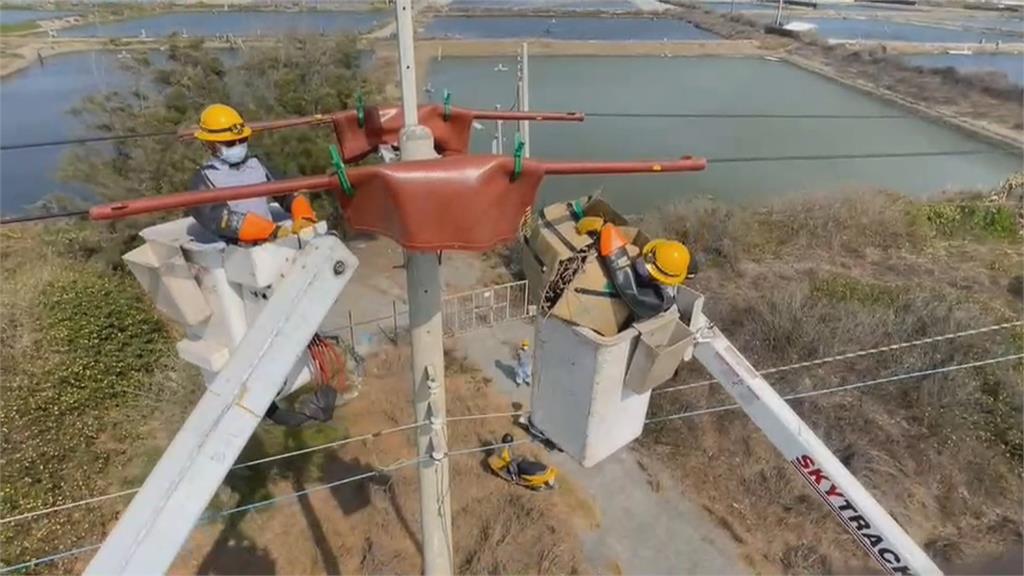80公分鳥巢現蹤電線桿 台電出動升空車幫喜鵲搬家