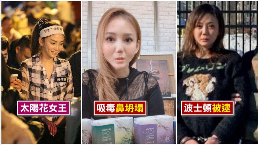 涉侵占遭通緝潛逃美國　「太陽花女神」劉喬安押解回台