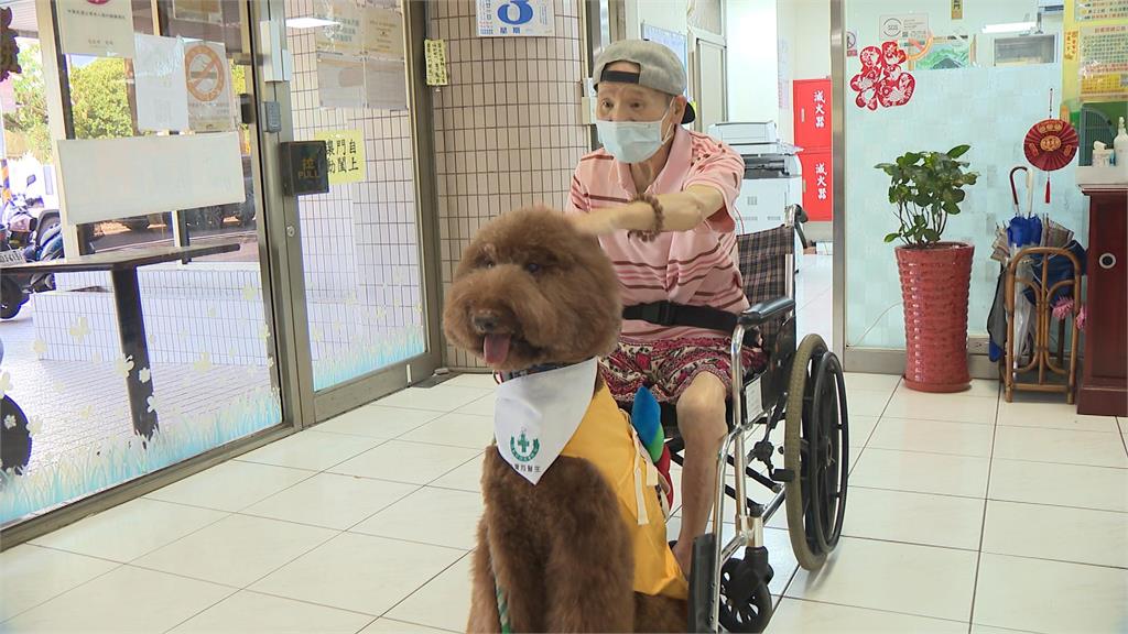 異言堂／毛小孩的處方箋！動物輔助治療成效佳